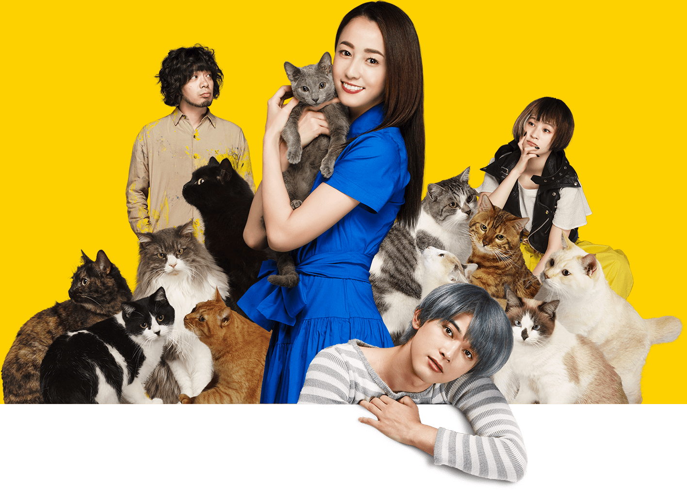 映画『猫は抱くもの』公式サイト 2019年1月9日ブルーレイ＆DVD発売